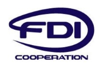 Read more about the article FDI Primer