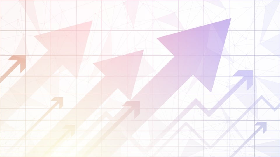 Read more about the article Strong Foundation, Clear Direction: PI Continues Growth in Automation